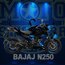 N250 Full Sticker Set