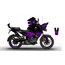 Ns 200 