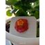 Akrep Burcu Pin 