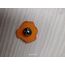 Aslan Burcu Charm 