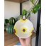 Sunflower mug (ön sipariş)