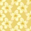 Transfer Paper BF5