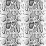 Transfer Paper AS10