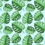 Transfer Paper BHS64