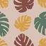 Transfer Paper BH12