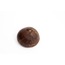 Coco baby palms/yin+yang