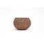 Coco cup pyramide