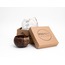 Coco baby palms/yin+yang