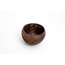 Coco baby palms/yin+yang