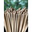 Bambu pipet (Save the turtles)