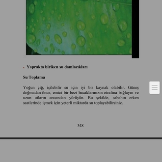 U.S. Navy SEAL Hayatta Kalma Rehberi (Don Mann) - Türkçe Çeviri (PDF E-Kitap)