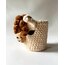Alpaca Pen Holder