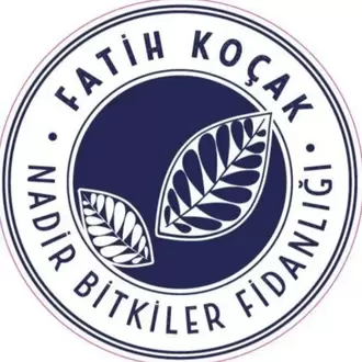 2026 / Soğanlı Bitkiler Dikim-Bakım Rehberi