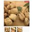 Aydın Dağ İnciri 1kg Jumbo Exstra