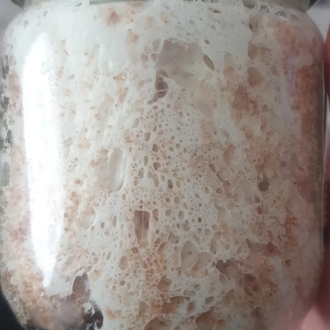 Ekşi Maya 19yıllık ( Karabuğday )200g