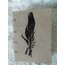 El Yapımı Defter - Kuş Tüyü