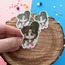 Ay Savaşçıları Sticker 