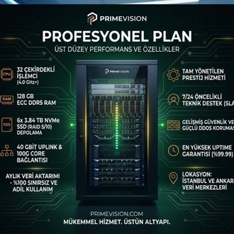 Profesyonel Plan 12 Aylık