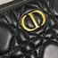 Christian Dior Caro Double Pouch 
