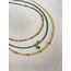 The Turtle Üçlüsü