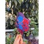 Spiderman Temalı Cake Topper (Pasta Dekoru)