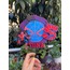 Spiderman Temalı Cake Topper (Pasta Dekoru)