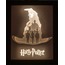 Harry Potter 3D Gölge Kutusu | Light Box | Gece Lambası