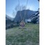 Rapunzel Heart Crown Kolye (Gold)