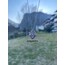 Rapunzel Heart Crown Kolye (Silver)