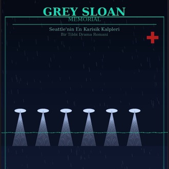 Grey sloan