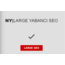 NY|LARGE YABANCI SEO