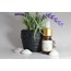Lavanta Yağı 5ml
