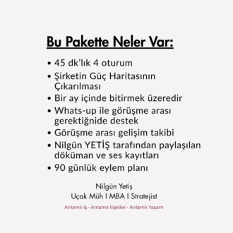 POWER PLAYER: Şirket içi Güç Haritası ve Sana Etkileri & Kariyer Stratejisi