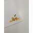 Stella Notepad no-180