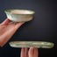 Mare