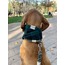 Nodo NeckWarmer - Green