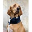 Nodo NeckWarmer - Blue
