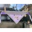 Medium Size Knot Detail Dog Collars