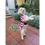 Love of All Wearable Dog Blanket