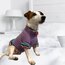 Ruffles Knitwear