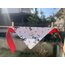 Large Size Knot Detail Dog Collar