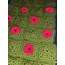 The Poppyland Wearable Dog Blanket
