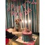 Birthday Pawty Set w Embroidery Details
