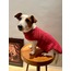 Pinky Wearable Dog Blanket