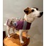 The Haunted Wearable Dog Blanket