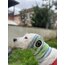 Eye of the Monster Snood