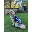 Wizard of the Night Wearable Dog Blanket