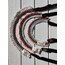 Dog’s Student Collar - Kurtaran Ev Donation