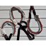 Dog’s Student Collar - Kurtaran Ev Donation