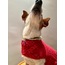 Pinky Wearable Dog Blanket